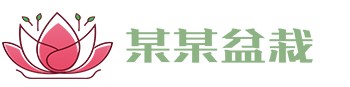 江南手机在线官网-江南（中国）